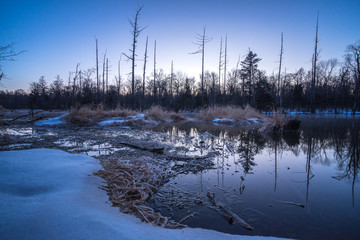 landscape in mountain