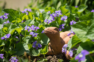 Terra cotta turtle among flowers in a garden 
