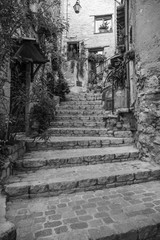Narrow cobbled street with flowers in the old village Tourrettes-sur-Loup , France.
