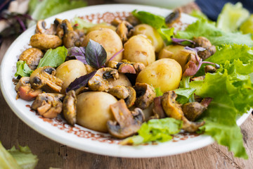 Backed potatoes and roasted mushrooms on salad leaves. Organic farm lunch or dinner. Raw vegan vegetarian healthy food