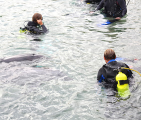 diving club on the red sea
