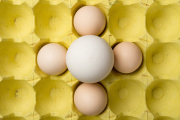 giant size goose egg between small chicken eggs concept of size comparison