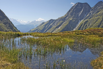 Fototapeta na wymiar Little pond in the Bernese Alps at a beautiful summer day. View over the Rhone valley to the Valais Alps with Weisshorn and Breithorn. Switzerland