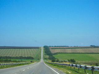 road leading through the fields