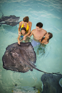 Smiling family having fun together as they swim with stingrays.
