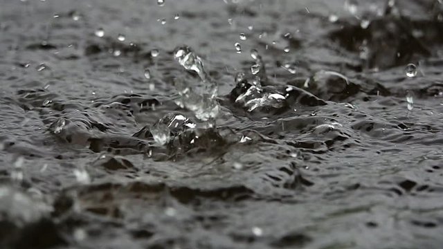Raining.
Raindrop splashing the flood in crown formed ,hd format slow motion.
