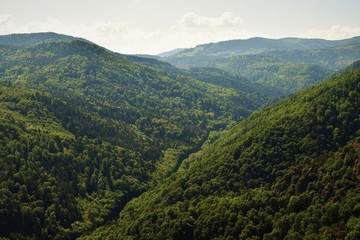 Fototapeta na wymiar vue sur les Vosges - France