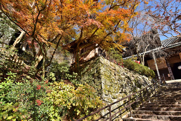 秋の長谷寺