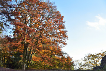 高取山山頂の紅葉