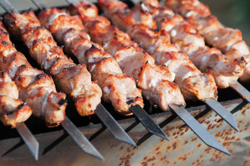 Shish kebab roasting on the grill. Cooking meat on the fire.
