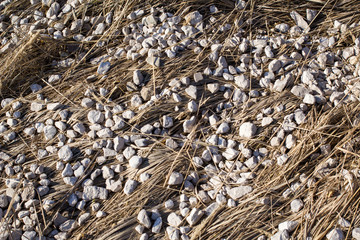 dried field grass and white nature stone cover ground art style