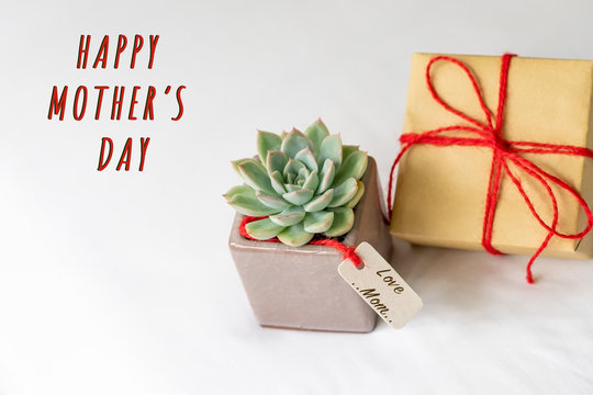 Happy mother's day concept. Gift box and green cactus, paper tag with LOVE MOM text