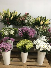 Fototapeta na wymiar Spring Flower Arrangements in a Flower Shop 
