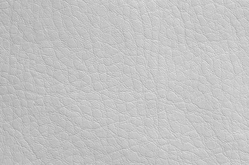 White leather texture