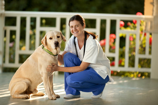 Young female nurse playing with a dog on the verandah of someone's home.