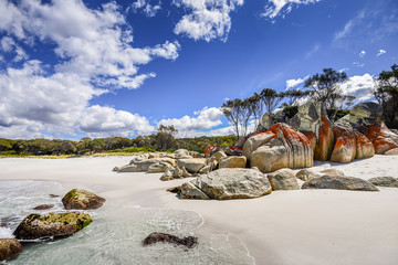 Bay Of Fires, Cosy Corner, Tasmania, Australia: Gorgeous sunny summer coast view to blue Tasman Sea...