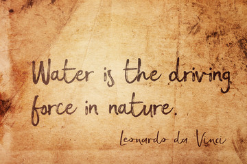 water force Leonardo