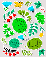 Floral set. Flowers and leaves collection. Vector illustration with natural objects and plants and butterfy
