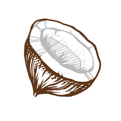 Fototapeta premium The half of coconut isolated on a white background. Good graphic tropical illustration.