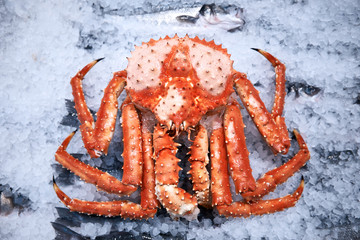 arctic snow crab on ice in market © Andrey Cherlat