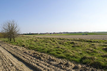 Obraz premium Wiosenny krajobraz