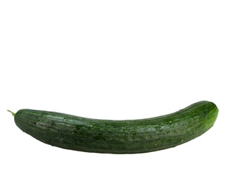 Salatgurke