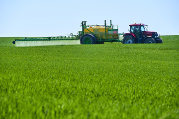Naklejka premium Tractor spraying wheat field with sprayer 