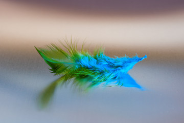 beautiful green feather on a matte metal surface with reflection