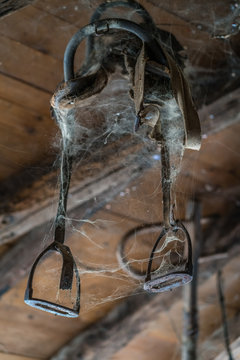 Old harness covered in spider web