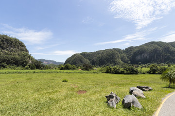 Naklejka premium valle de vinnales Cuba