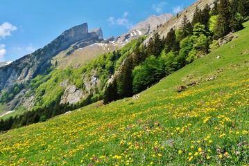 Fototapeta na wymiar Alpsteingipfel im Frühling
