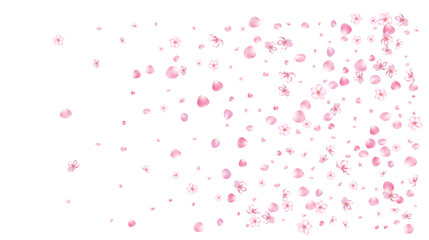 Fototapeta na wymiar Wedding Sakura Cherry, Rose Petals Floral Confetti. Shower Vector Peach Apple Blossom Soft Sakura Cherry and Rose Confetti Falling Down. Windy Floral Design, Natural Cosmetics Decoration.