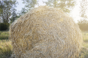 a haystack on the field in the backlight