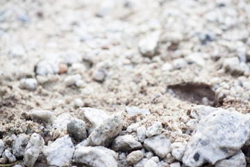 Sand or soil and stone for background.