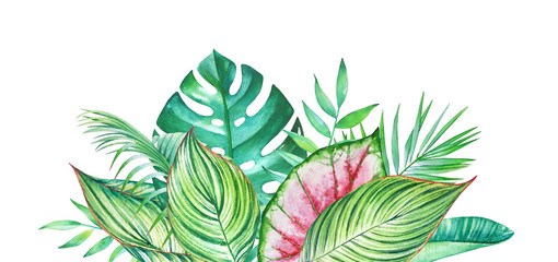 Watercolor composition with hand drawn tropical plants isolated on white background. 
