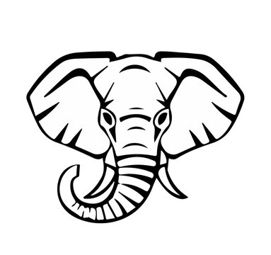 head of an elephant, black lines, vector