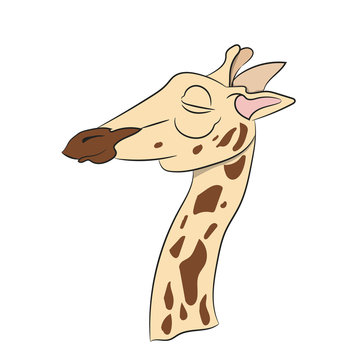 giraffe head color, vector