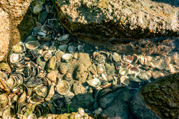 Trip to Trebur - Germany Hessen 