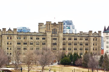 View on beautiful building with spring tree