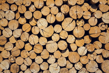 Pile of worked wooden roundish clear beautiful logs, stacked firewood background, view at saw cut,...