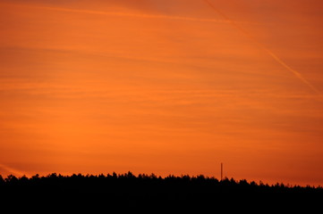 This morning RR.ART_2