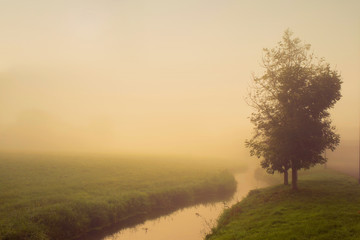 Fototapeta na wymiar field on the sunrise morning in the fog in the autumn timeld and sunset