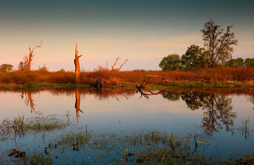 Wiosenna Biebrza © Wojciech Lisiński