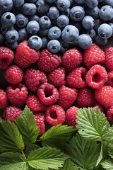  Ripe and juicy fresh blueberries and raspberries .