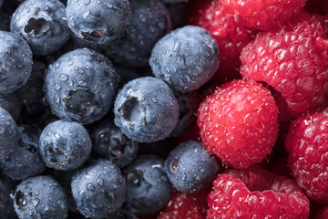  Ripe and juicy fresh blueberies and raspberies .