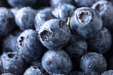  Ripe and juicy fresh picked blueberries closeup.