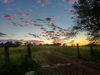Sunrise in the countryside - pampa region in the South of Brazil