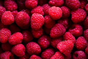 Fresh raspberries background with copy space. Top view, close up. Summer, vitamin, vegan, vegetarian concept. Healthy food. Macro of berries