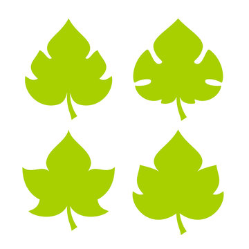 Green Fresh Leaf Vector Icon