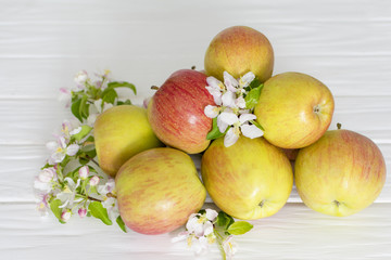 apple flowers and ripe apples on a white wooden background.